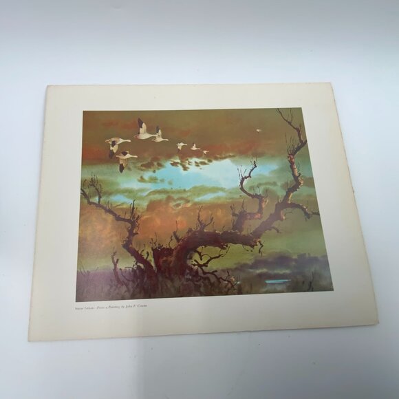 Vintage Print "Snow Geese" From a Painting by John P. Cowan 8" x 10" - Picture 3 of 7